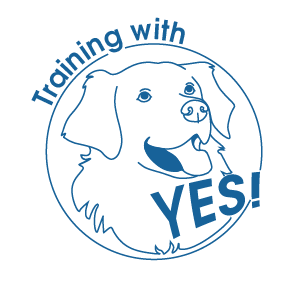 Training with YES