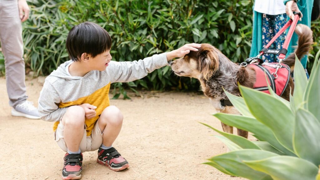 Child in Yellow and Gray Hoodie Long Sleeve Shirt Petting a Service Dog