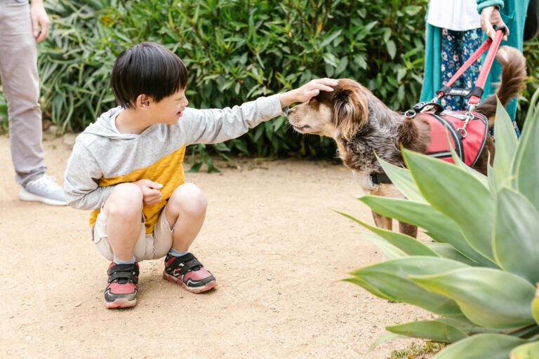 Child in Yellow and Gray Hoodie Long Sleeve Shirt Petting a Service Dog