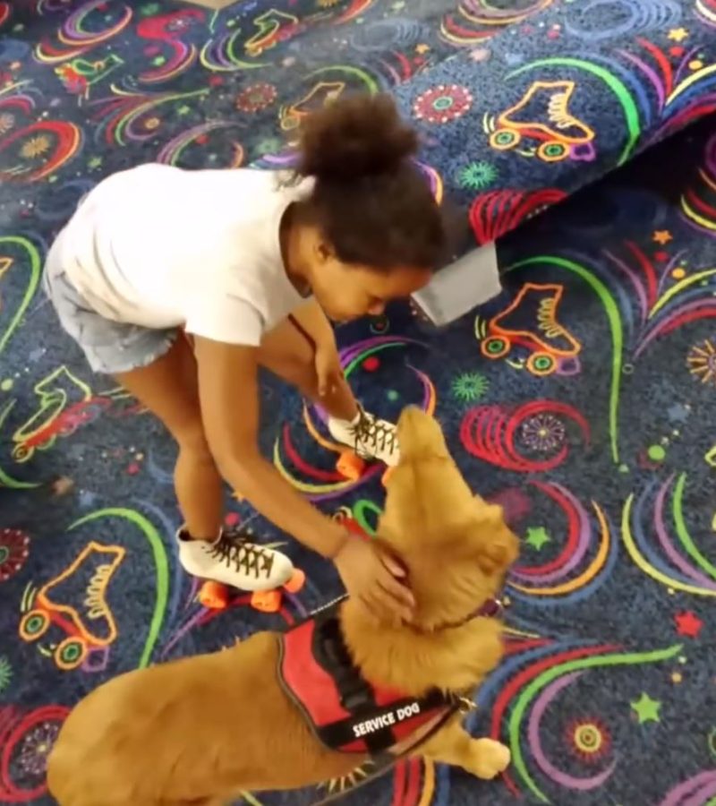Service Dog Spice Rolls on the floor
