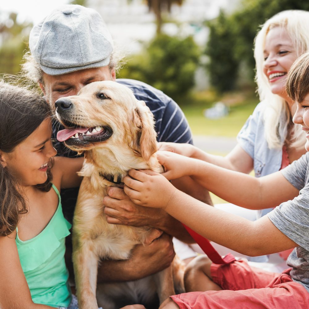 Young parents having fun with children and their pet outdoor at park in summer time - Focus on dog mouth