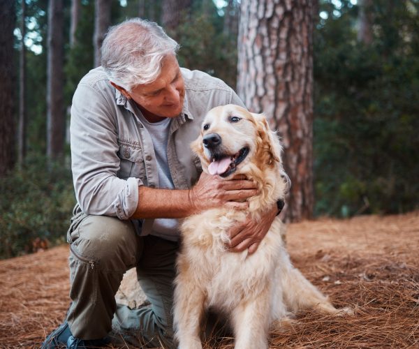 A senior veteran out for a hike with his PTSD service dog smiles while holding his animal for comfort.