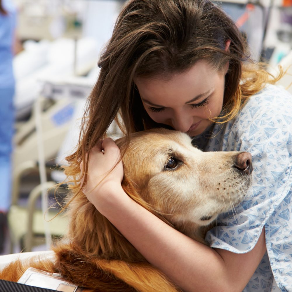Sweet Loving Therapy Dog Visiting Young Happy Female Patient In Hospital